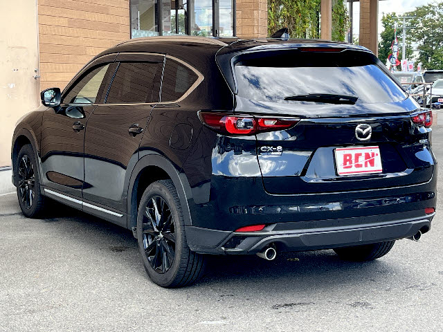 ＣＸ－８