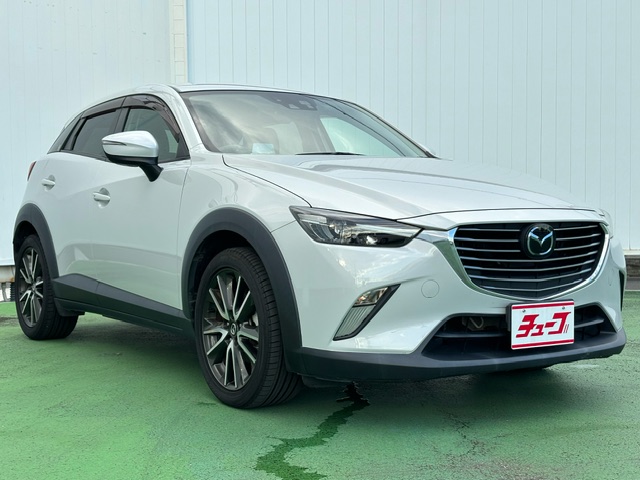 ＣＸ－３