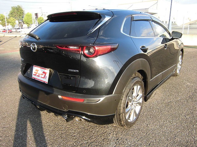 ＣＸ－３０