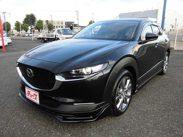 ＣＸ－３０