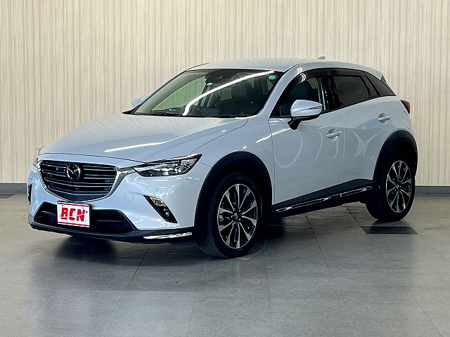 ＣＸ－３