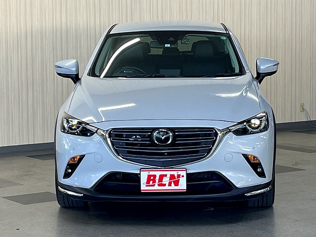 ＣＸ－３