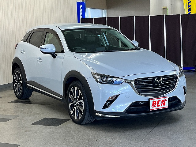 ＣＸ－３