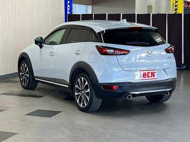 ＣＸ－３