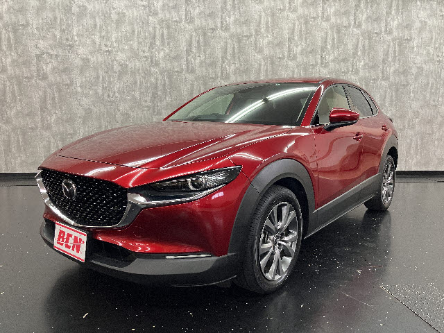 ＣＸ－３０