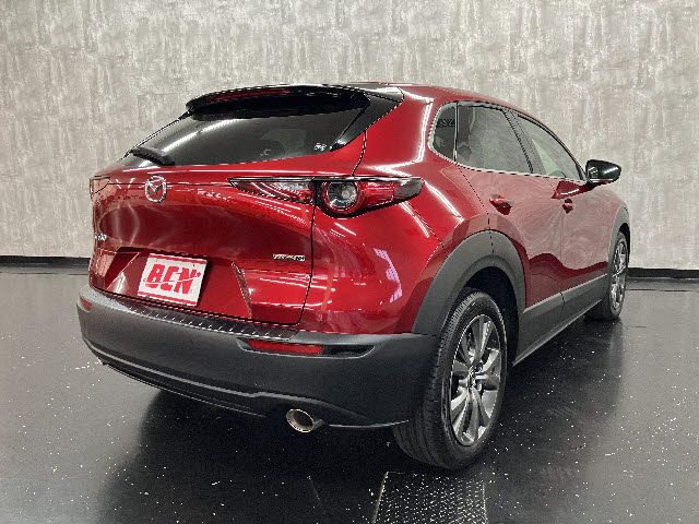 ＣＸ－３０