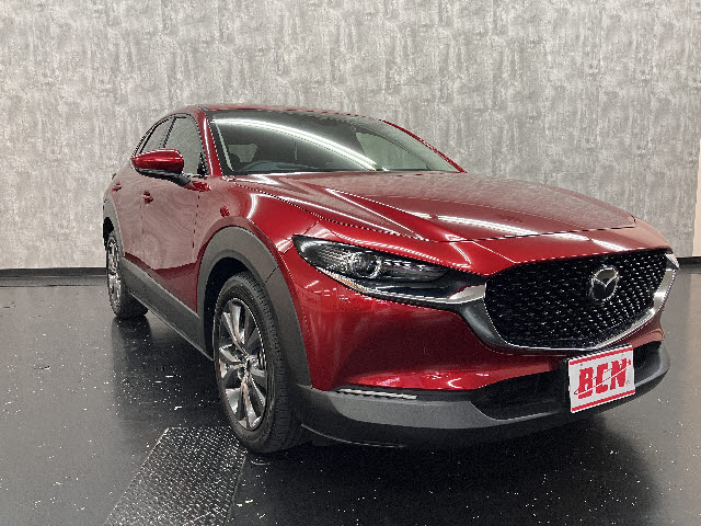 ＣＸ－３０