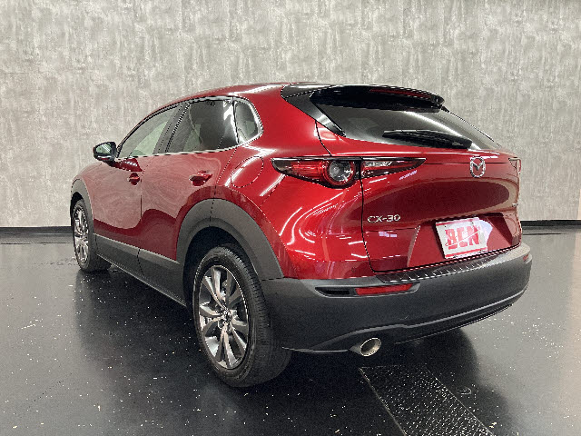 ＣＸ－３０