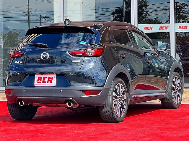 ＣＸ－３