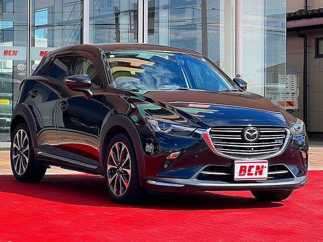 ＣＸ－３