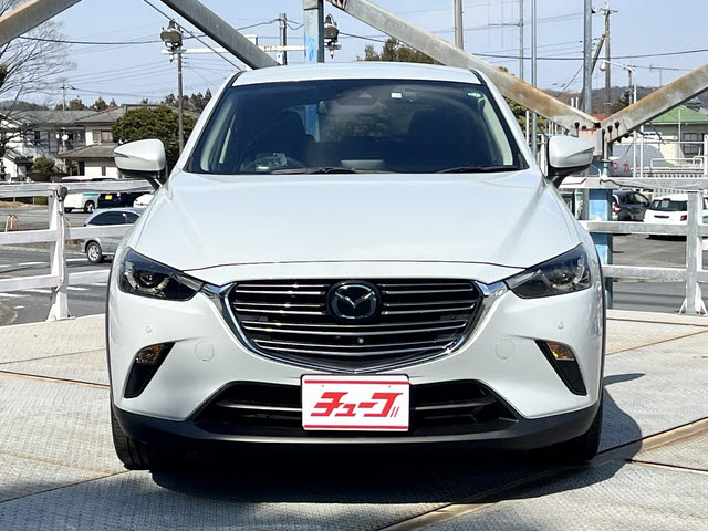 ＣＸ－３