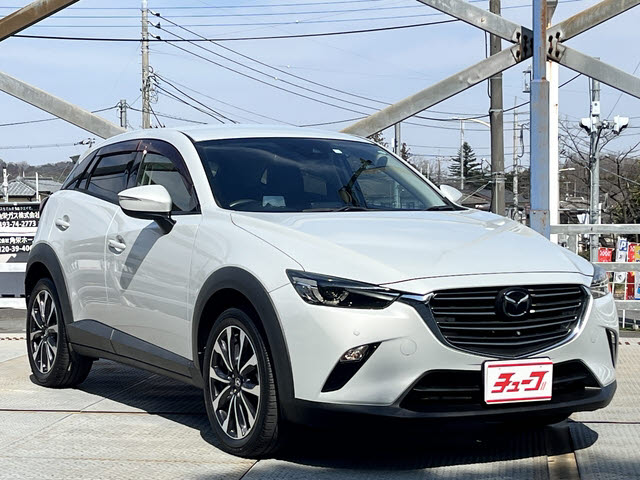 ＣＸ－３