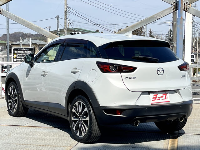 ＣＸ－３