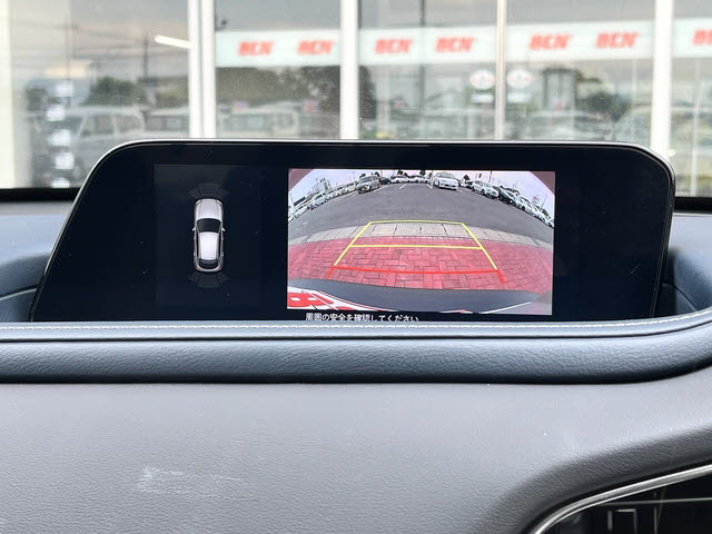 ＣＸ－３０