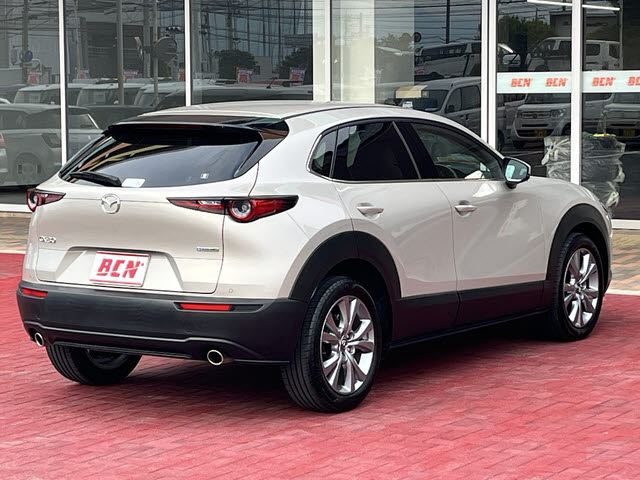 ＣＸ－３０