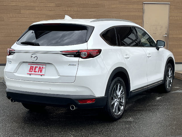 ＣＸ－８