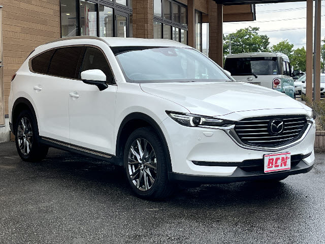ＣＸ－８