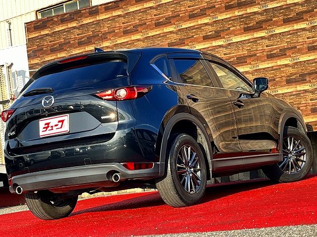 ＣＸ－５