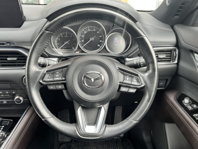 ＣＸ－８