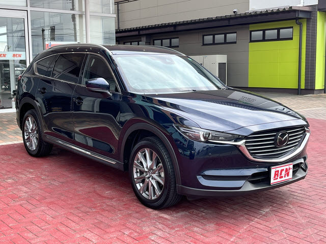 ＣＸ－８