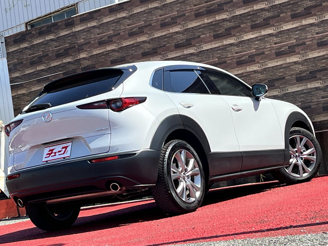 ＣＸ－３０