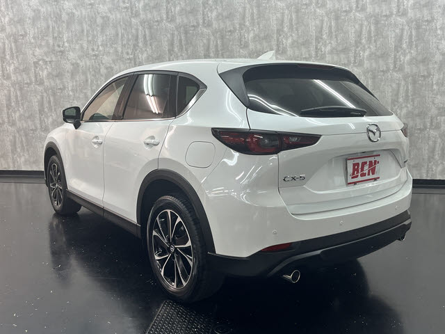 ＣＸ－５
