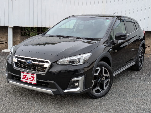 ＸＶ