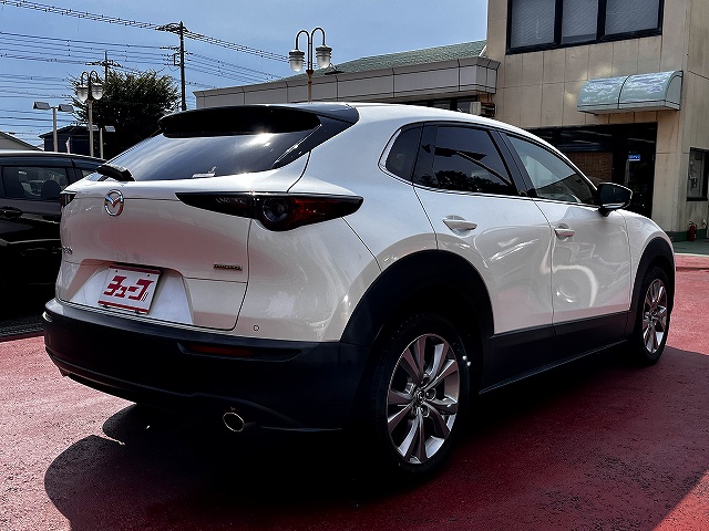 ＣＸ－３０