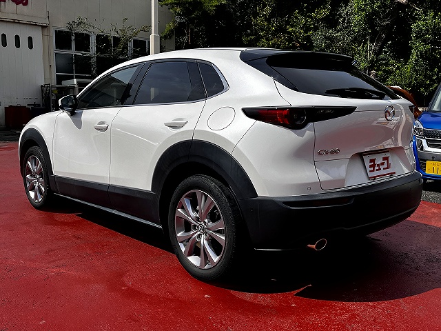 ＣＸ－３０