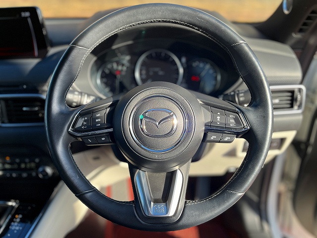 ＣＸ－８