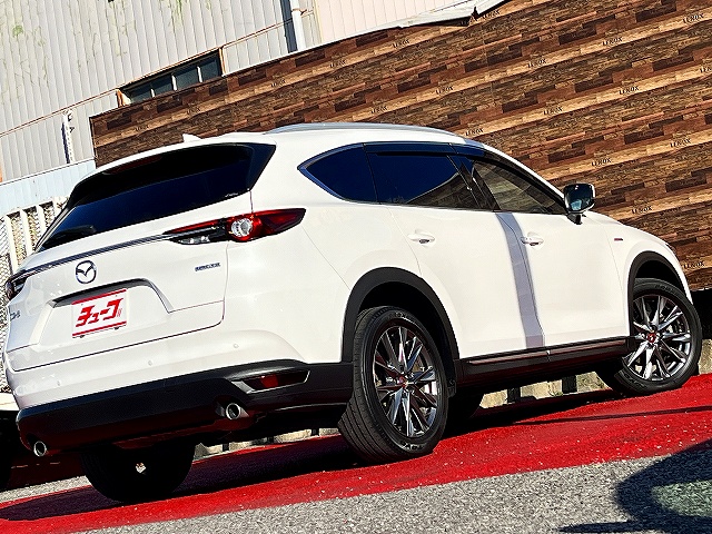 ＣＸ－８
