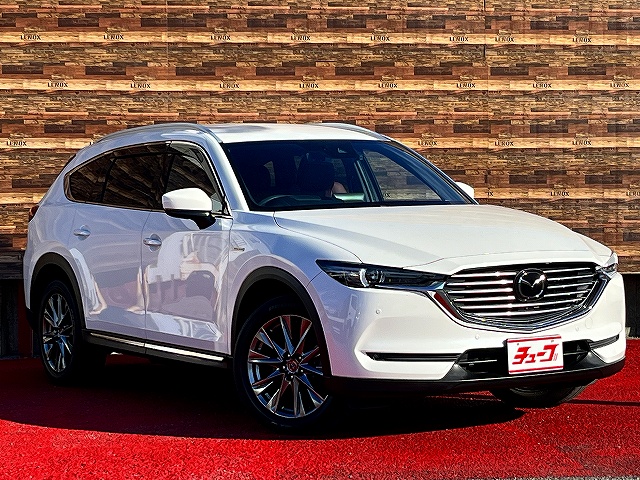 ＣＸ－８