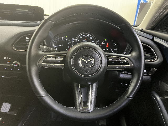 ＣＸ－３０