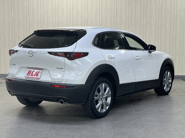 ＣＸ－３０