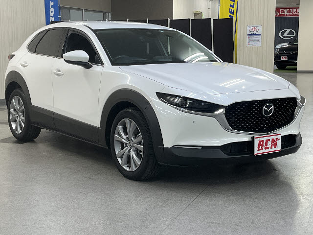 ＣＸ－３０