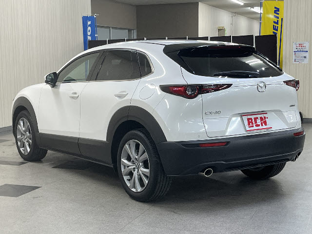 ＣＸ－３０