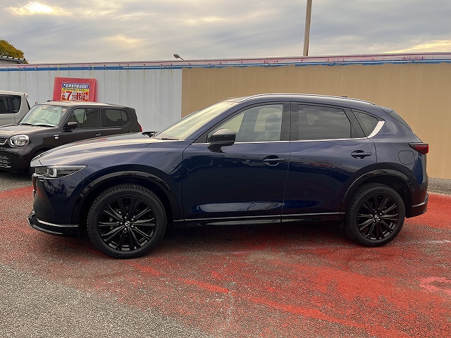ＣＸ－５
