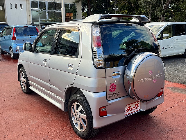 テリオスキッド