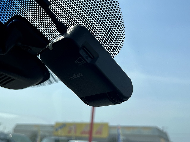 フリードプラス