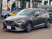 ＣＸ－３…