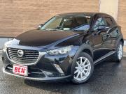 ＣＸ－３