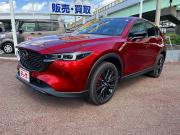 ＣＸ－５