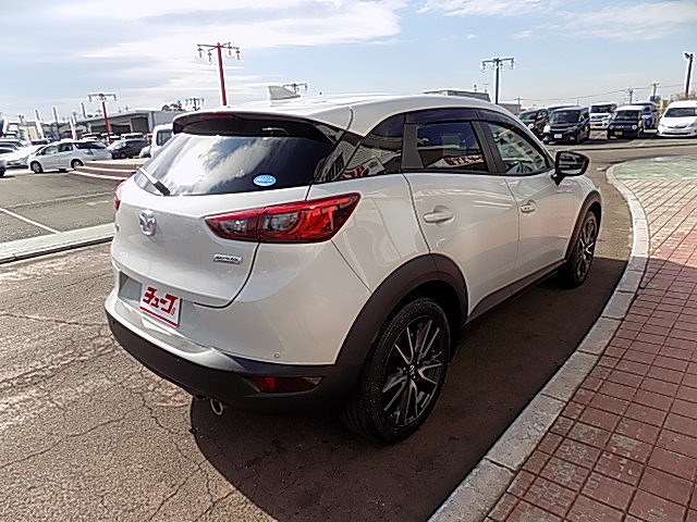 ＣＸ－３