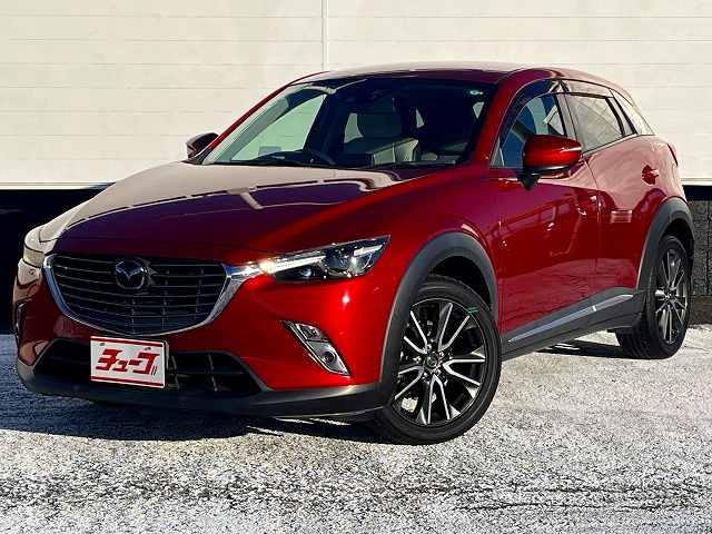 ＣＸ－３