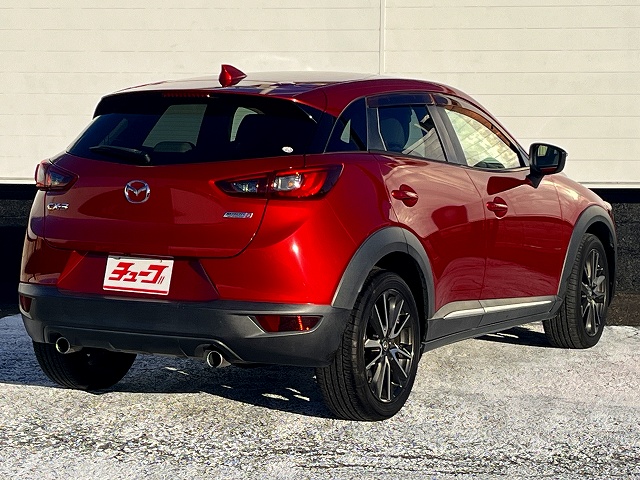 ＣＸ－３