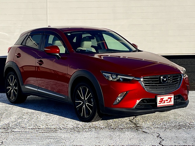 ＣＸ－３