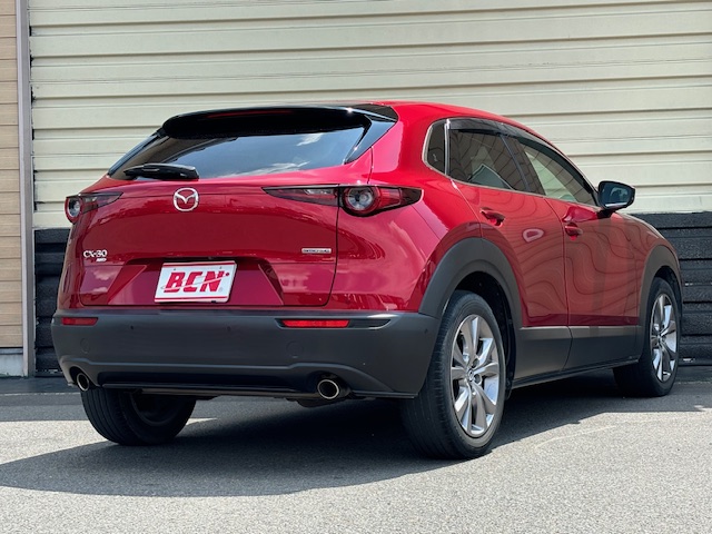 ＣＸ－３０