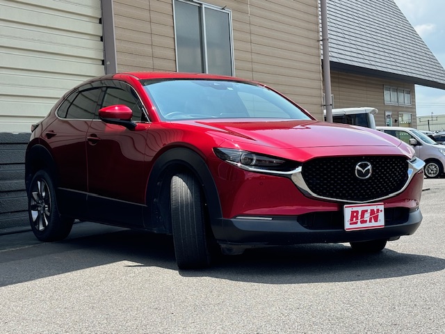 ＣＸ－３０