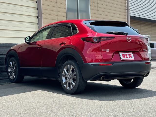 ＣＸ－３０