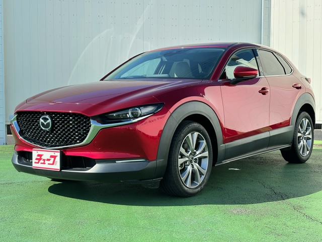 ＣＸ－３０